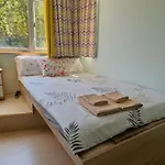 Amu Dreamhouse 阿木旅舍